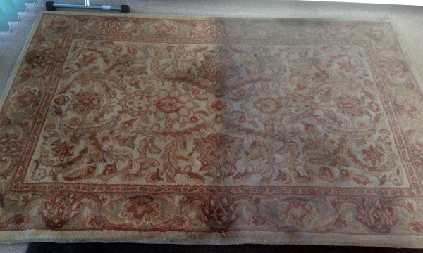 stained rug